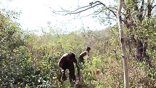 build a dream house in the forest with primitive technology