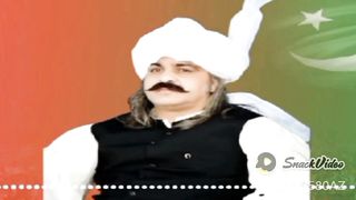 Ali Ameen Gandapur