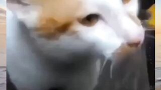 sedih kali ceritamu bang