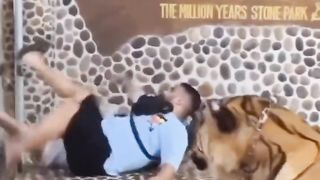 take a picture with a tiger