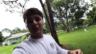My ANIMALS on My PROPERTY in ONE Video