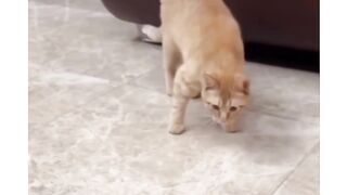 What's this sound?