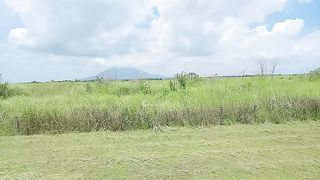 Scenic Expressway Landscape
