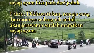 Fakta Vs Mitos Yang Bikin Bingung