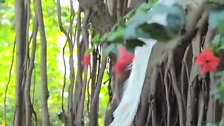 Amazing Birds 2