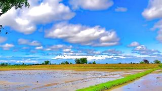 Very must Beautiful video in see