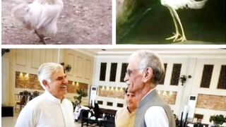 لازمی یاد رکھو