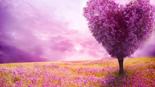 Music for meditation, relaxation , stress and anxiety relief - Quiet the Mind and Listen to Your Heart