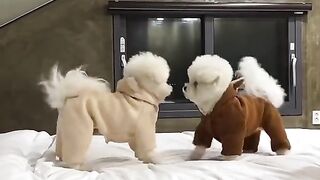 Are nt they the cutest