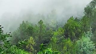 Kashmir valley 19