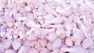 FRIED CHICKEN DRUMSTICK _ Chicken Fry Recipe with Mashed Potato _ Chicken Recipe Cooking In Village