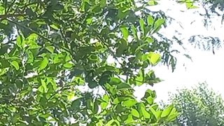 Cool View of Nature #shorts #nature