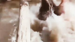 i fell।। পইড়া গেলাম