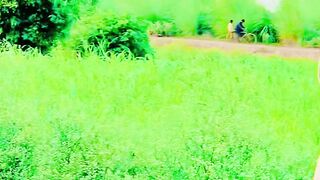Old Songs 2