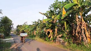 Suasana sore di kampung14