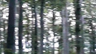 Beautiful nature 55