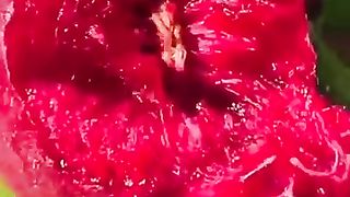 Enjoy Beautiful Nature Life ----------_273_shortvideo -- _hadhik afa----(