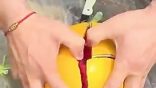 Enjoy Beautiful Nature Life ----------_274_shortvideo -- _hadhik afa---