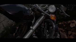 The House of The Rising Sun - The White Buffalo