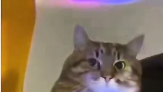 Funnyhub 006