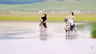 Full funny video.comday 5