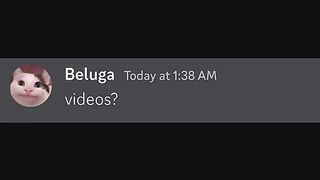 How Beluga make videos