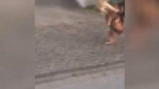 Sok keras sama kucing