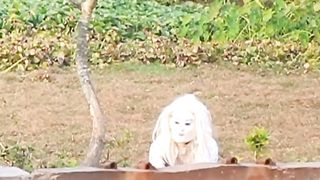SMART GHOST PRANK. #angel #God #church #temple #subscribe #follow