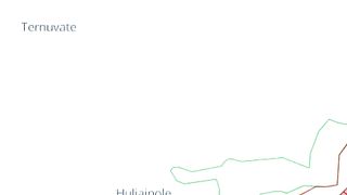 НОВИНИ 6