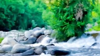 River | nature