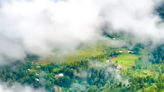 Nature beauty 15