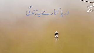 دریا کنارے ایک خوبصورت  زندگی دیکھی