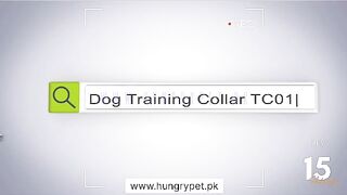 HOW TO USE DOG TRAINING COLLAR,  Visit now. https://youtu.be/PsZPprXjzvA