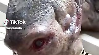 Evil face