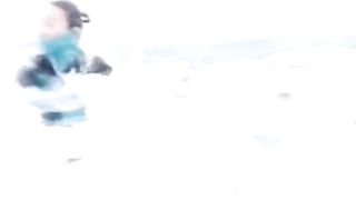 Dolphin swimming Show