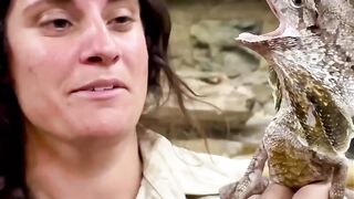 The Reptile Zoo 9