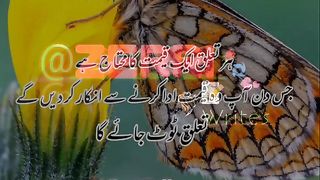 Bitter truth / کڑوا سچ 2