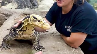 The Reptile Zoo 12