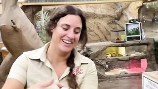 The Reptile Zoo 14