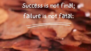 Quotes 51