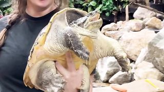 The Reptile Zoo 16