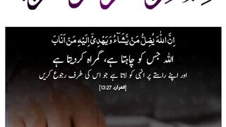 Quran , Al Quran Surah 13 Ayat 27 #viral #shorts #quran #youtubeshorts