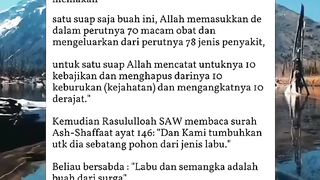 SEMOGA BERMANFAAT YA DAN JANGAN TINGGALKAN SHOLAT KARENA SHOLAT ADALAH KEWAJIBAN DAN PERBANYAKLAH BERSHOLAWAT YA OK 3