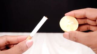 7 Awesome science experiment amazing science activity