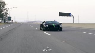 Car lover
