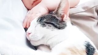 Cut cat and cut babey