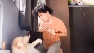 Try not to Laugh-TikTok video with animal????????????
