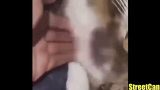 UNUSUAL MEMES COMPILATION v10