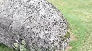 This Rock???? Fooled Everyone for 30 YEARS!