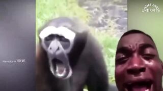 অস্থির বেকুবদের কান্ড???? I Bengali New Funny Video???????? I Stupid people caught on camera